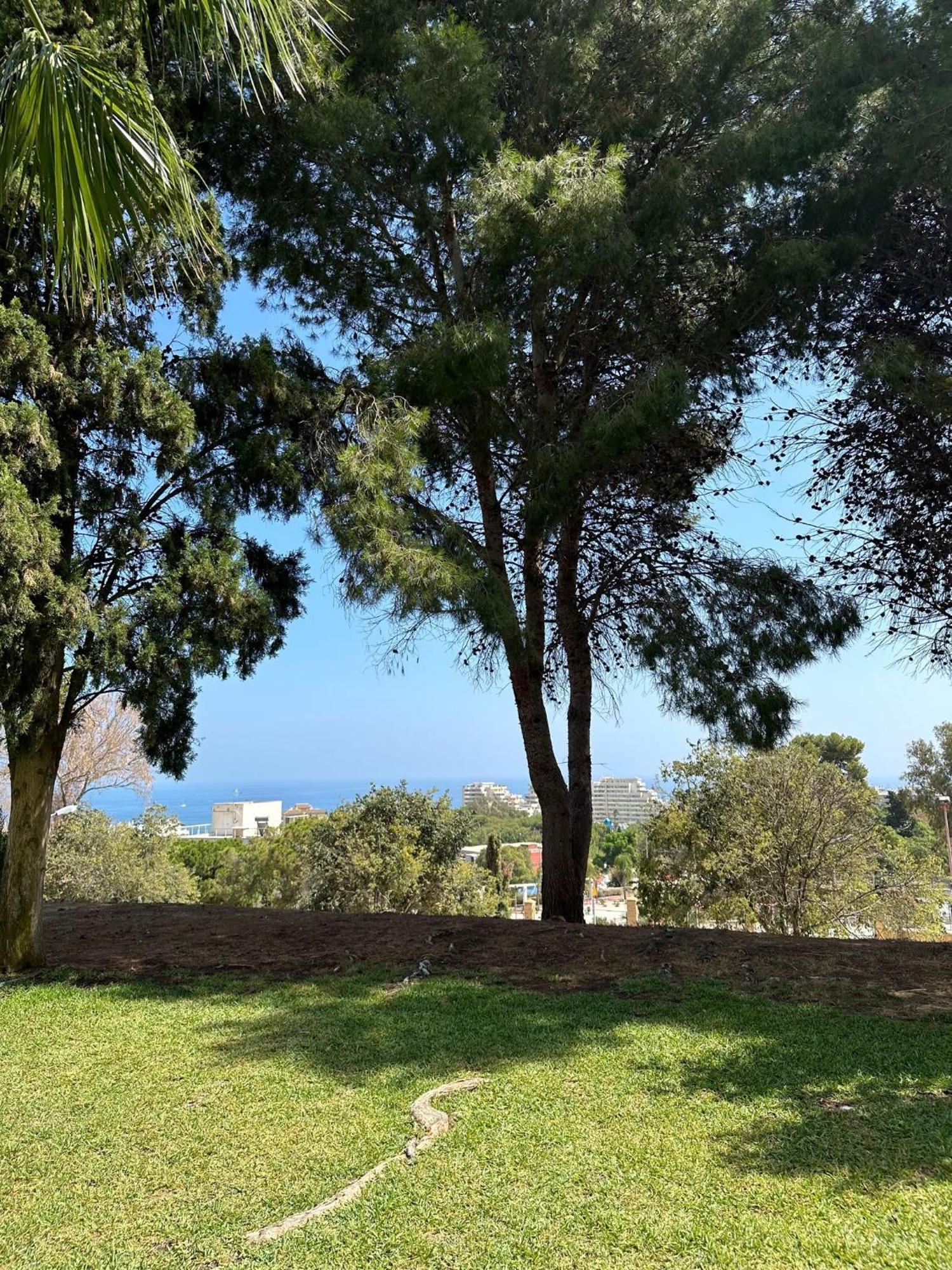 شقة Benalmadena Gamonal مالقة المظهر الخارجي الصورة